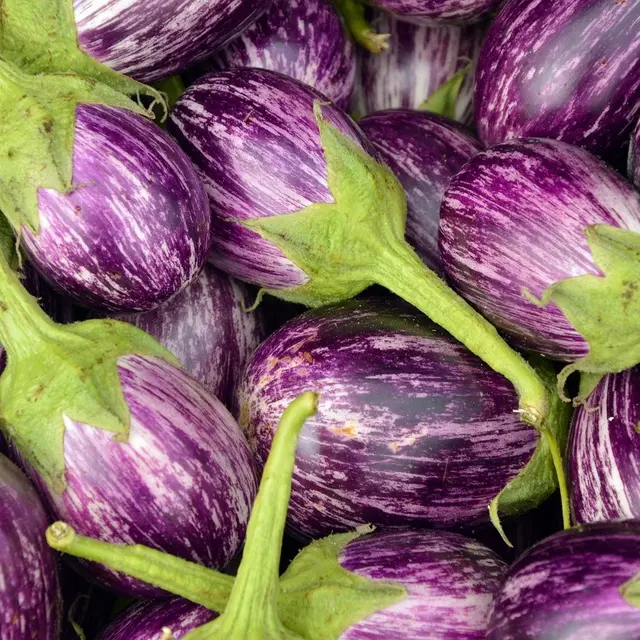 eggplant-3758698_1280