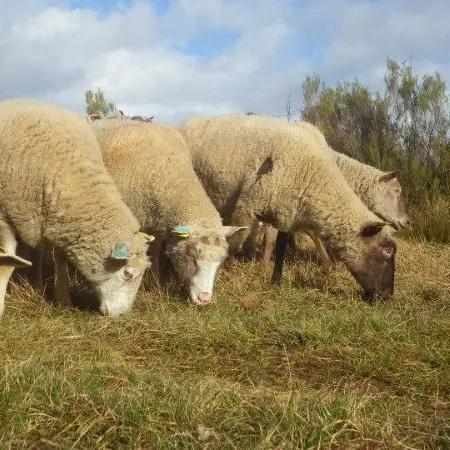ferme des forgerons ©Véronique Boullier
