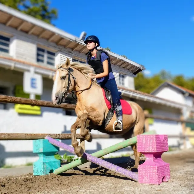 ferme_st_joseph_pau _saut d'obstacle