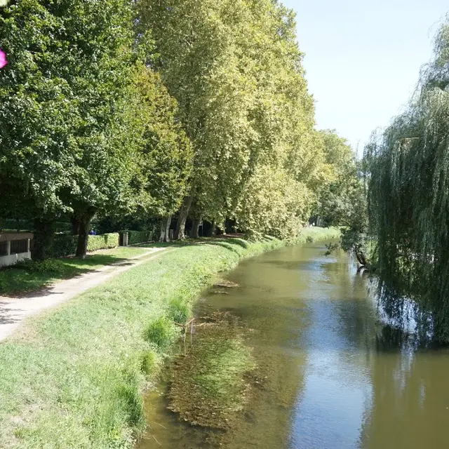 fête du canal - grand pavois