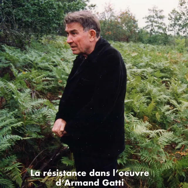 gatti eymoutiers 1