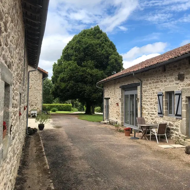grenouille - legerie