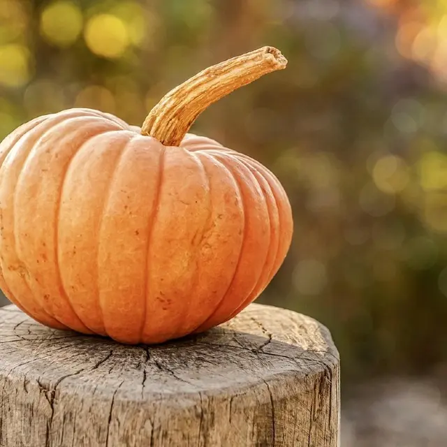 Soirée Halloween