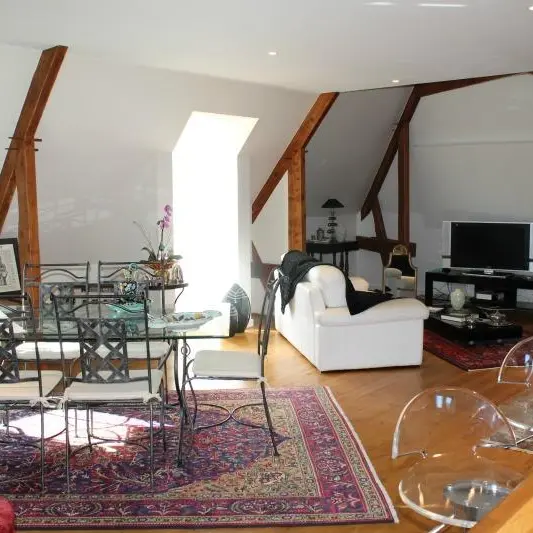 Les Lilas vaste appartement à Sarlat avec parking_1