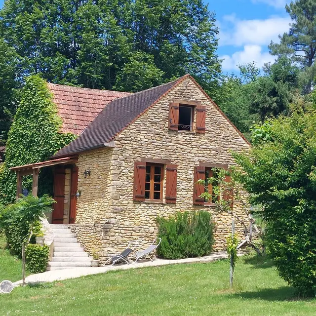 Les Platanes à Sarlat_1