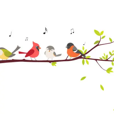 istockphoto-chant des oiseaux