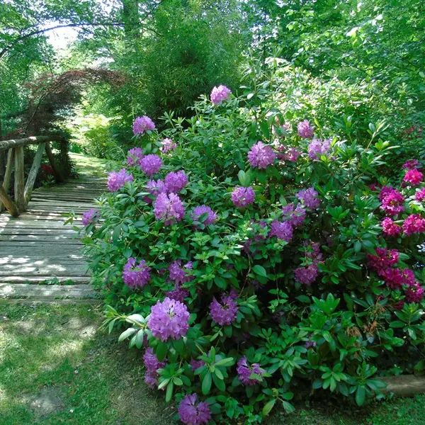 jardins tranquilles5