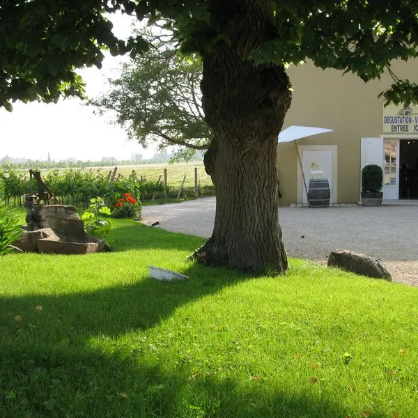 la-vieille-bergerie (3)