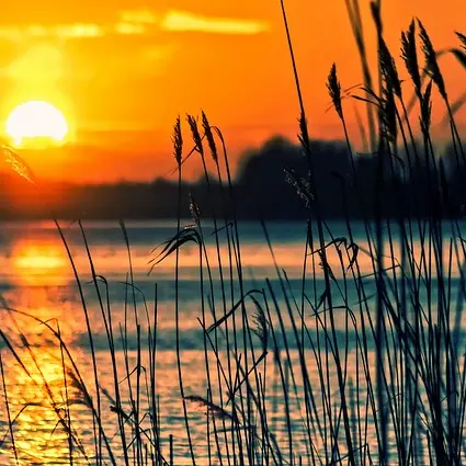 lake-696098_640