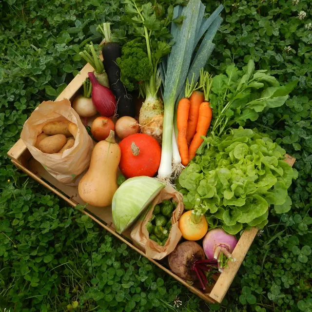 les-legumes-de-remi