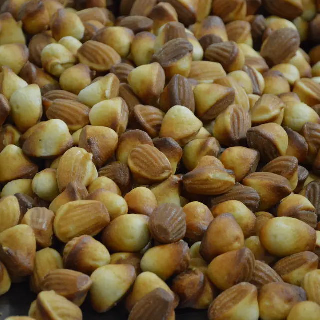 madeleines