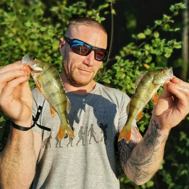 mathieu MVS - pêche perche carnassier - Adour et plan d'eau