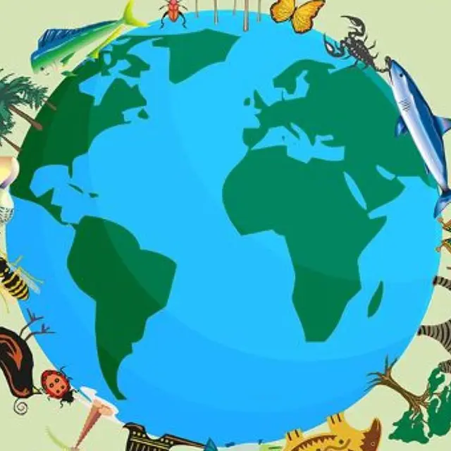 médiathèque Bergerac