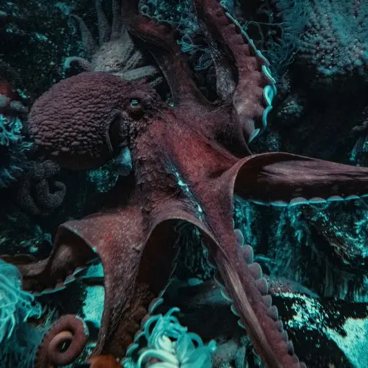 nick-brice-AvXgxng4yTc-unsplash©Nick Brice sur unsplash