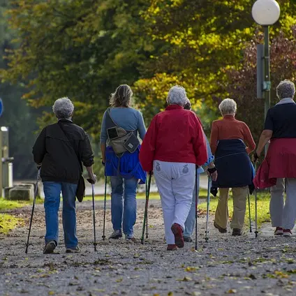 nordic-walking-1814784_640