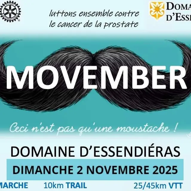 nov 2 movember