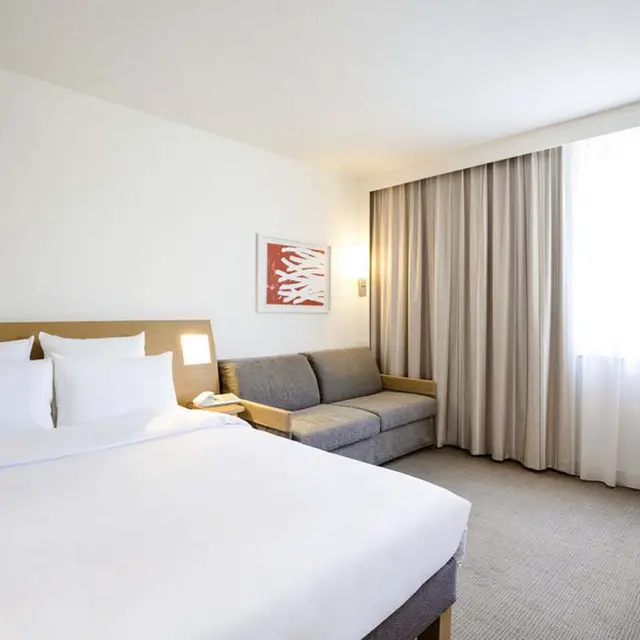 Hôtel Novotel - Pau - chambre 1