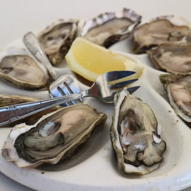 oysters-6805970_1280