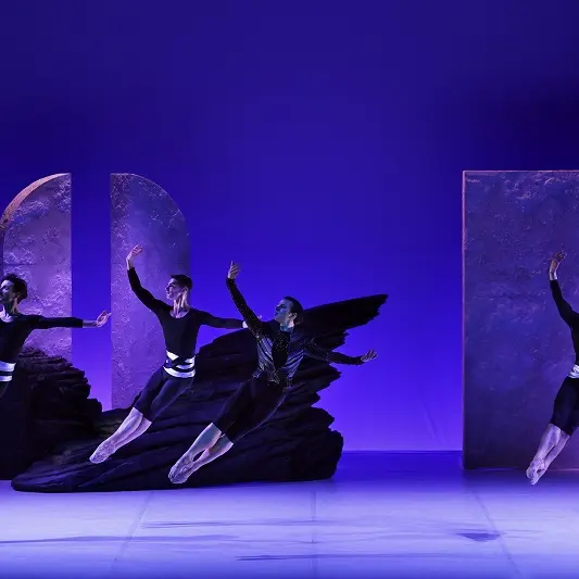 COMPAGNIE ILLICITE BAYONNE - FABIO LOPEZ - LAC DES CYGNES - ART - DANSE - LAUGA - BAYONNE - FRANCE