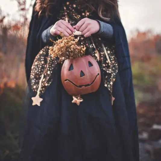 paige-cody-nHxG9tP2ElE-unsplash©Page Cody sur unsplash
