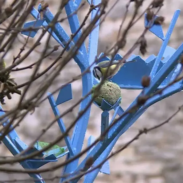 POC Porte oiseau et compagnie