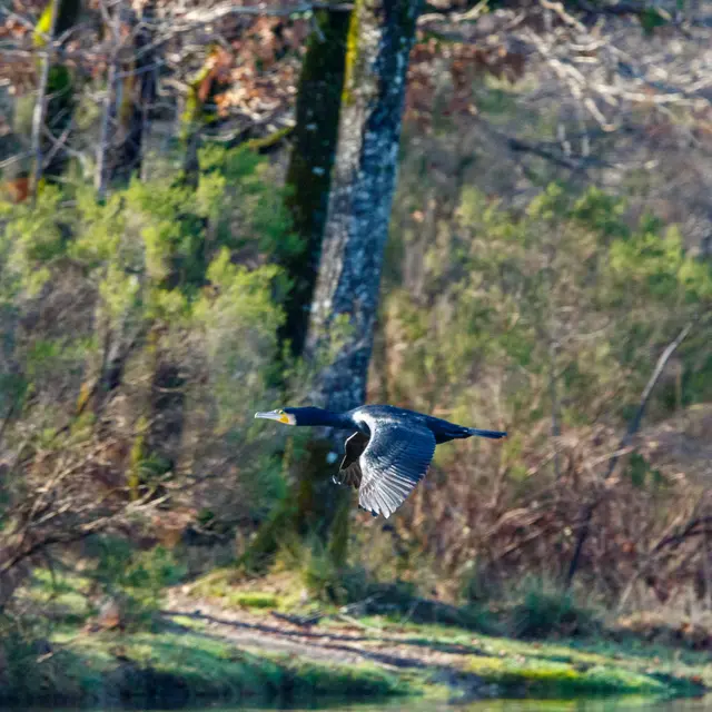 expo-photo-club-montponnais-montpon-vallee-isle-perigord