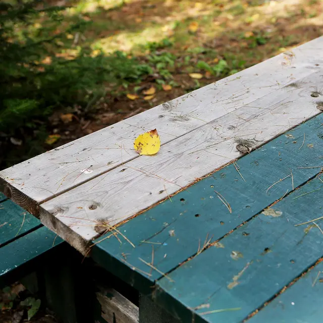 picnic-table-2618414_1920