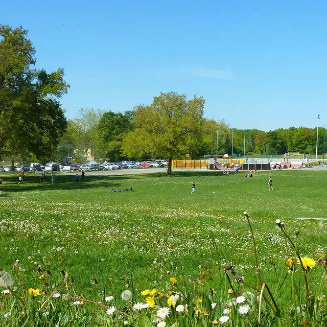 Plaine des sports - Lons - prairie