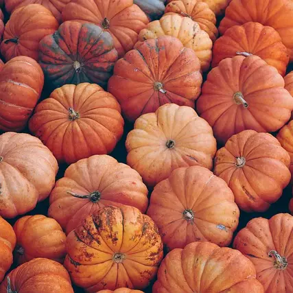 pumpkin-7496159_640