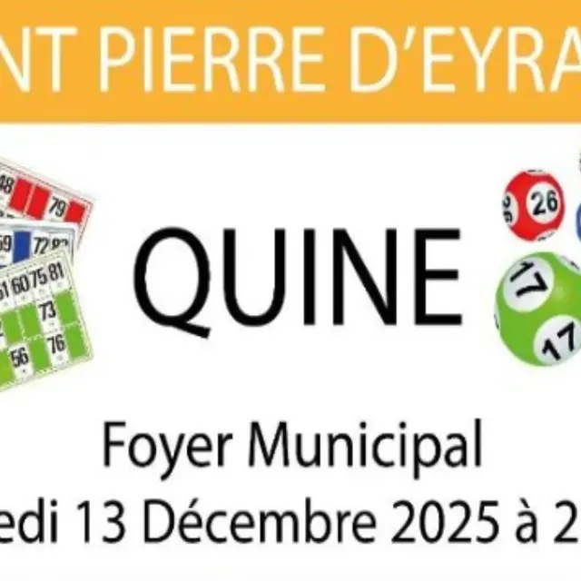 quine-fotor-20251126121725