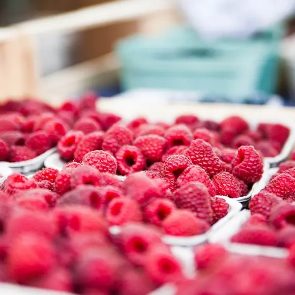 raspberries-gc8bf5ed02_1280