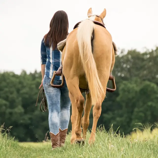 Balade à cheval