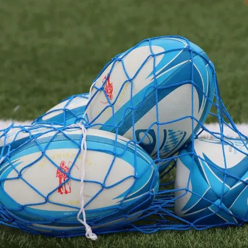 rugby©birgit de pixabay