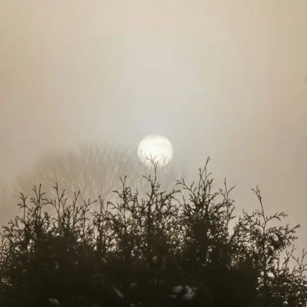 stripe-media-gM5-qFkRfm4-unsplash©Stripe média sur unsplash