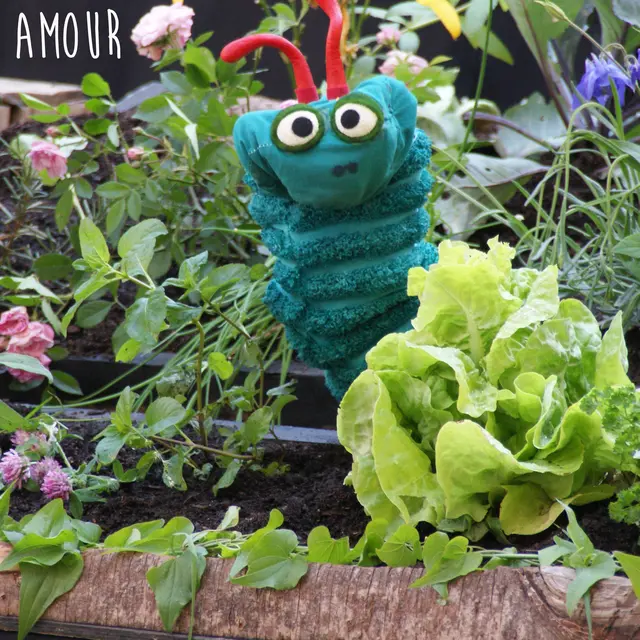 Chenille mon amour