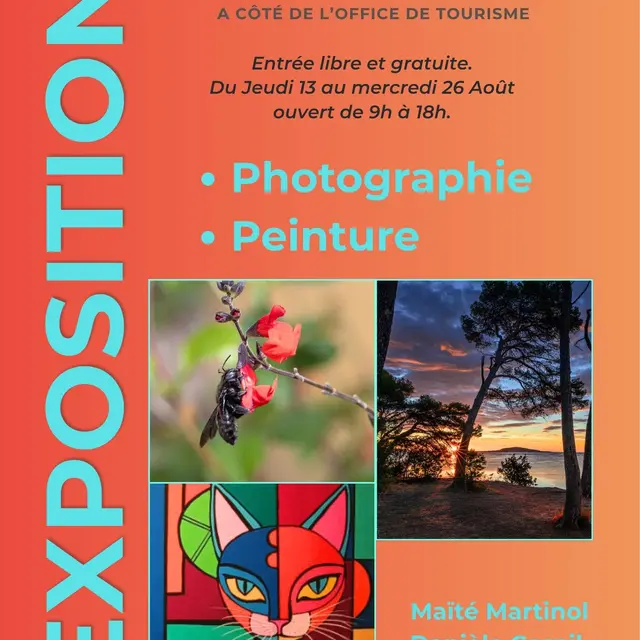 Lumières du littoral et art félin