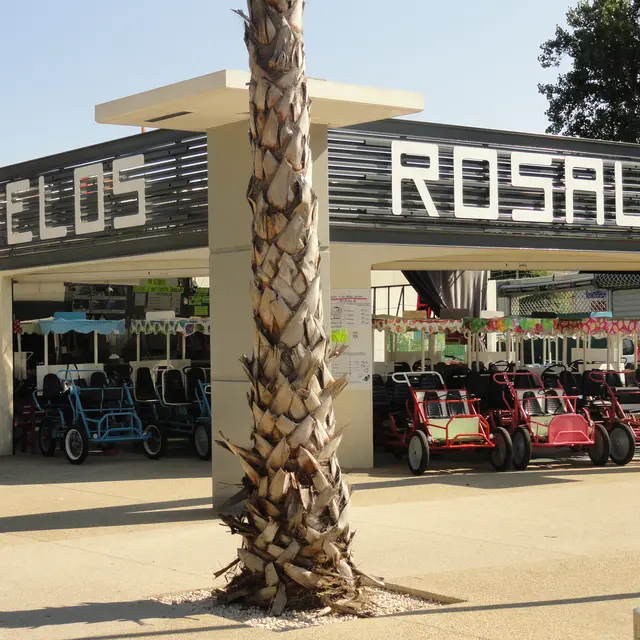 LOCATION DE ROSALIE ET DE VELOS 2016
