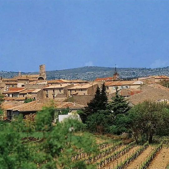 Montbazin-vue-générale-couleur
