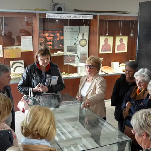 Musée Gallo-Romain Villa-Loupian