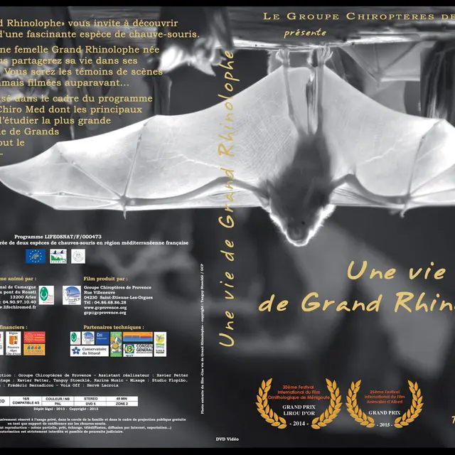 CINÉ-NATURE : LA VIE DE GRAND RHINOLOPHE !