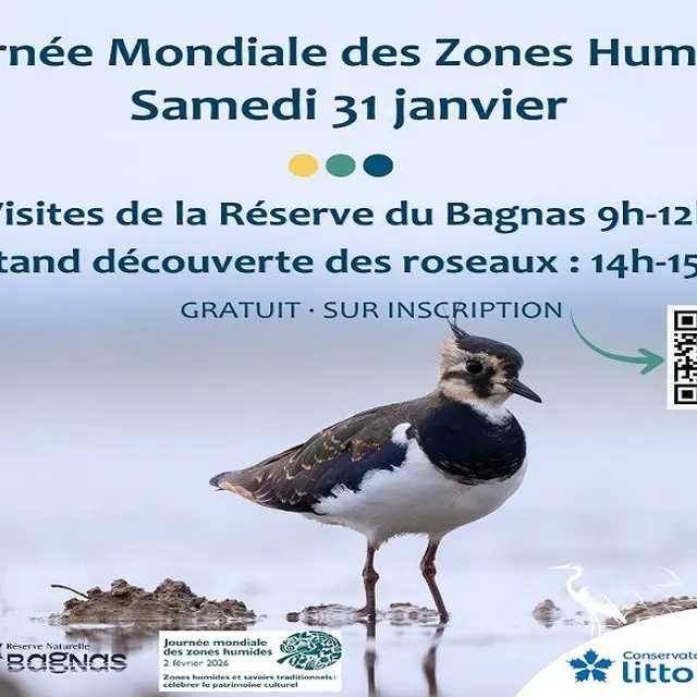 JOURNÉE MONDIALE DES ZONES HUMIDES À LA RÉSERVE DU BAGNAS