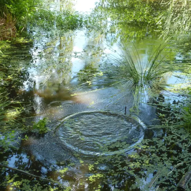 Photo de Luc Leguérinel