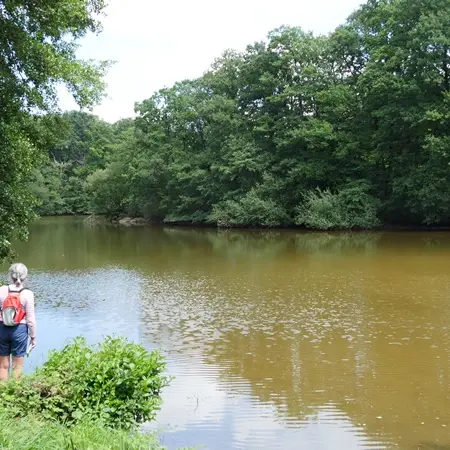 Parc de La Higourdais