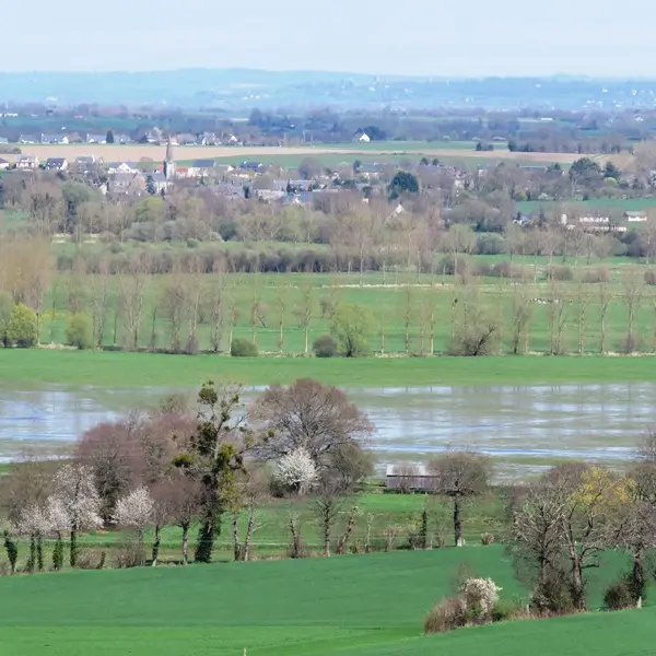 Marais de Sougeal vu du clocher