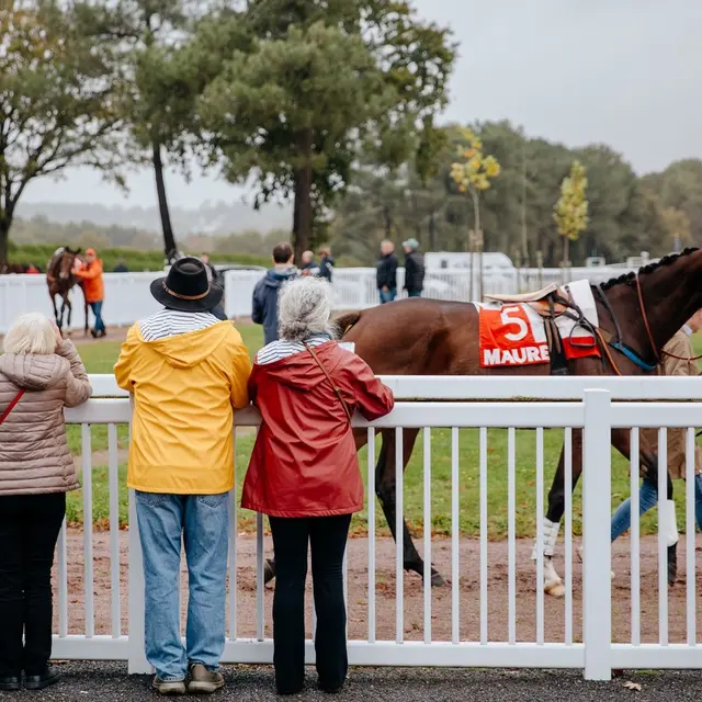 Course de trot