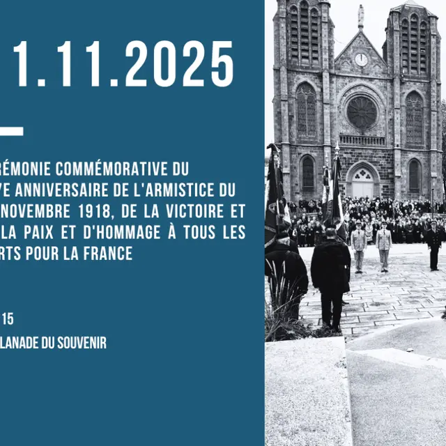 11 novembre