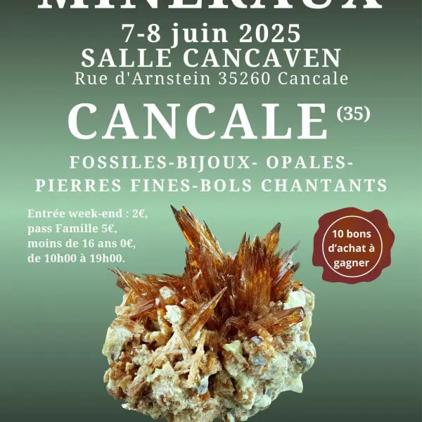 1ere-edition-du-salon-vente-de-mineraux-fossiles-bijoux