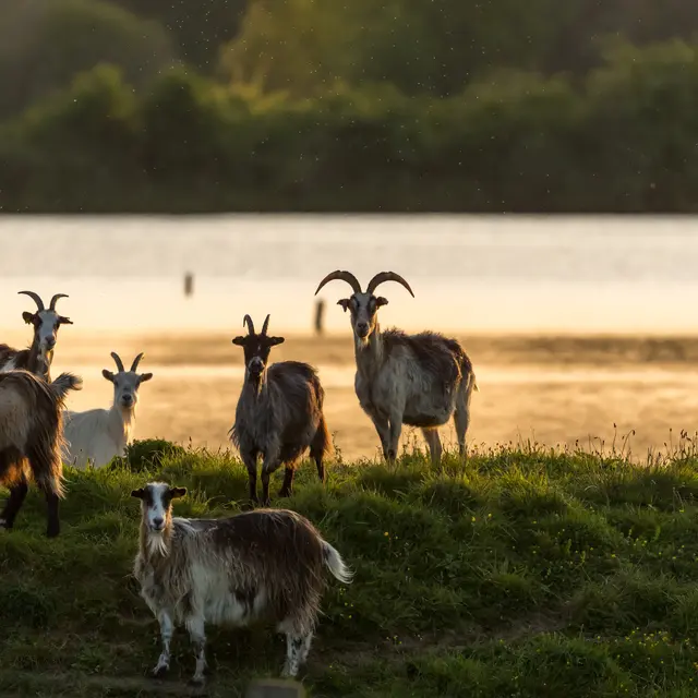 Domaine de Careil Espace Naturel Sensible du Département