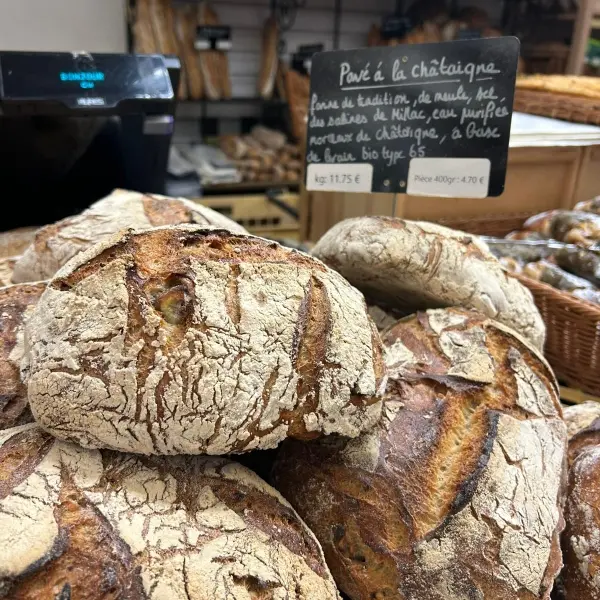 2026-PHOTOS-GUILBAUD (1)