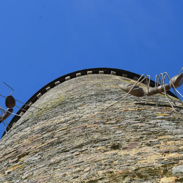 Les fourmis - Marc Georgeault